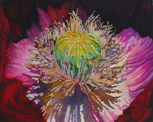 Màu vẽ lụa gốc nhuộm Jacquard Green Label, màu lẻ