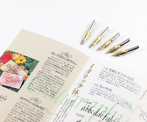 Ngòi Tachikawa C nib (flat nib)