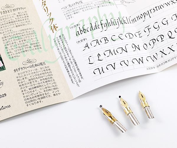 Ngòi Tachikawa B nib (round nib)