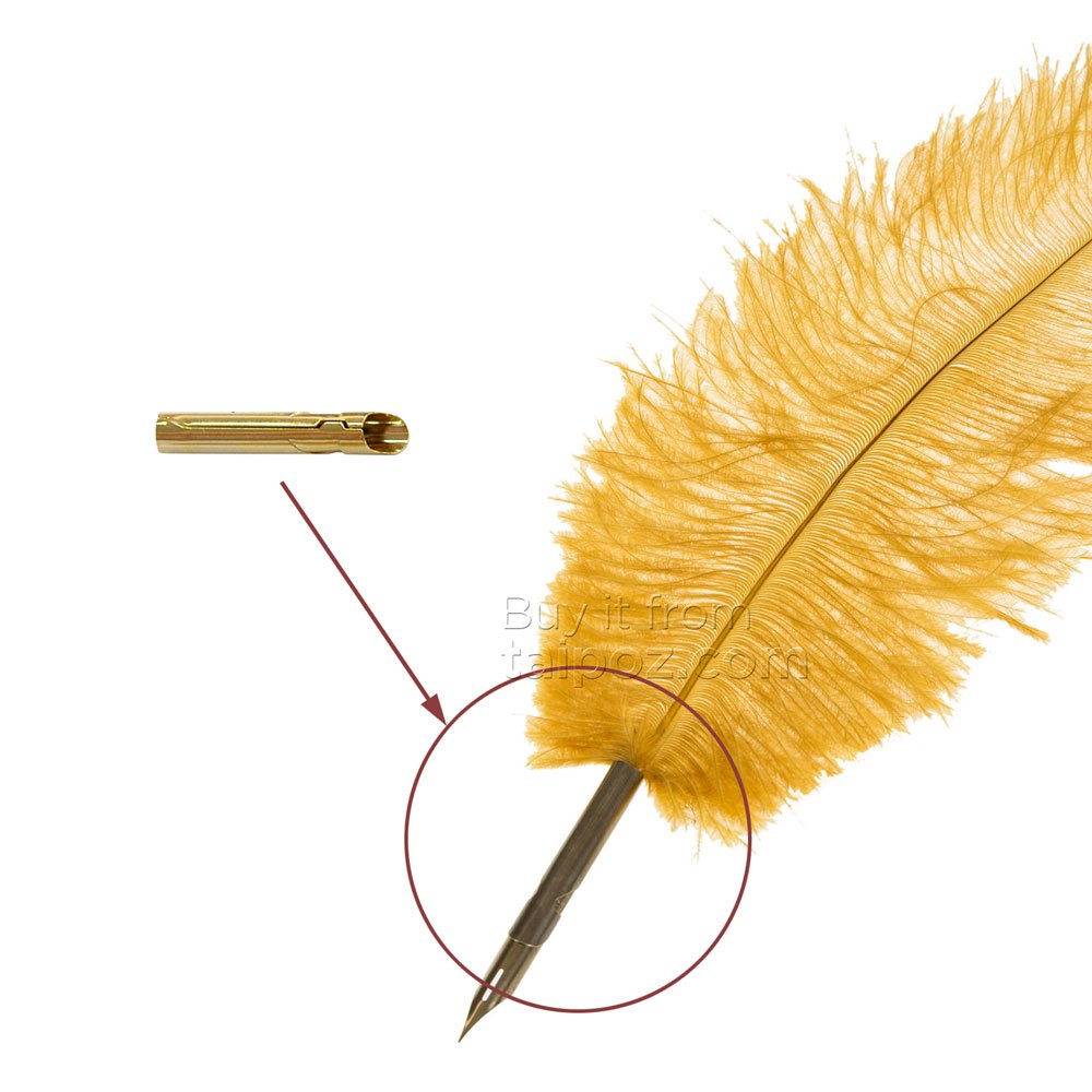 Đầu gắn ngòi viết calligraphy dùng cho bút lông vũ