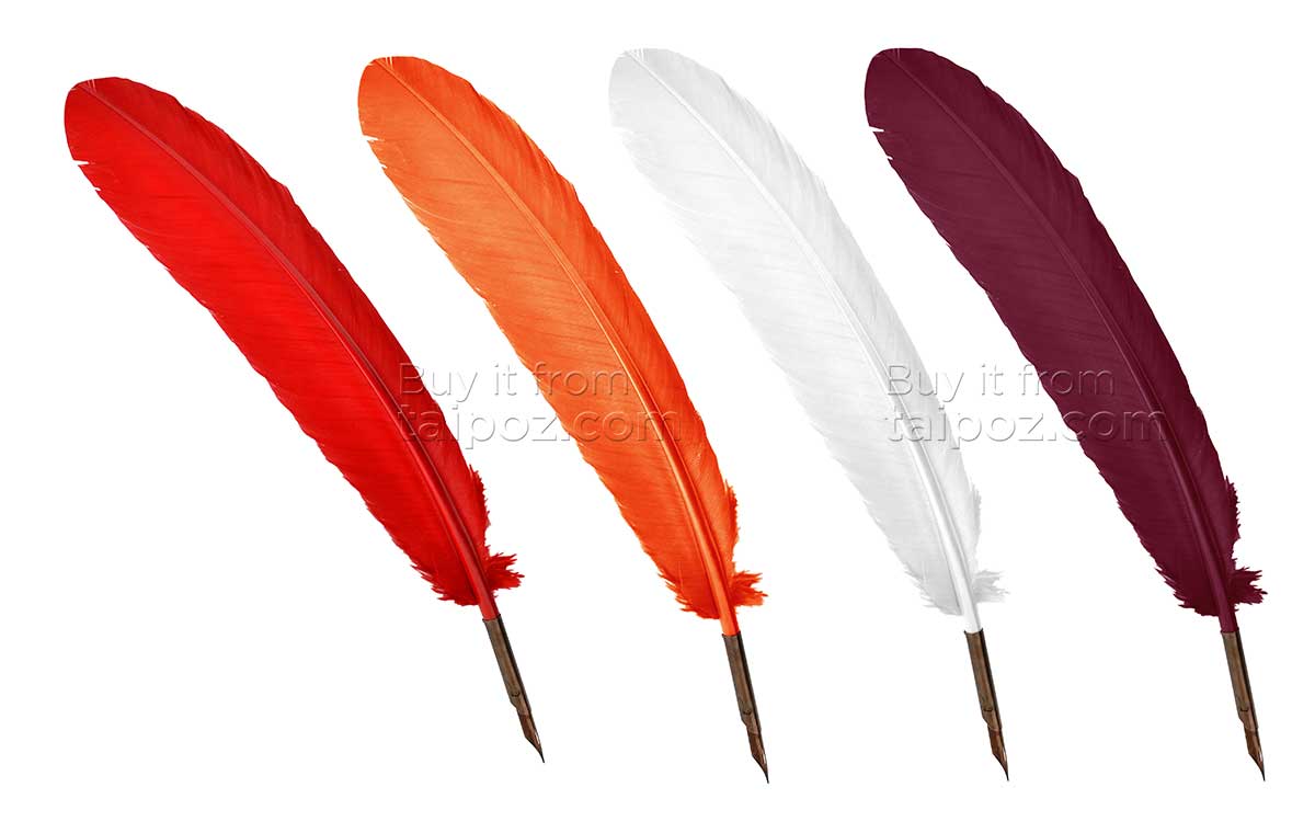 Bút lông vũ Manuscript Quill Pen