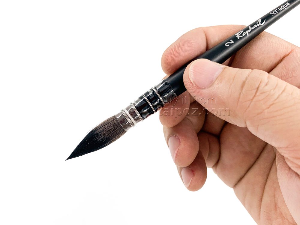 Cọ màu nước Raphael Softaqua 805 - cọ mốp