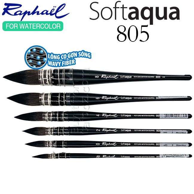 Cọ màu nước Raphael Softaqua 805 - cọ mốp