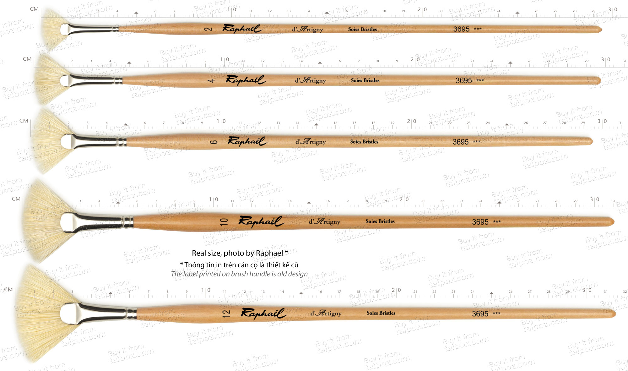 Cọ sơn dầu Raphael d'Artigny Series 3695 - cọ quạt