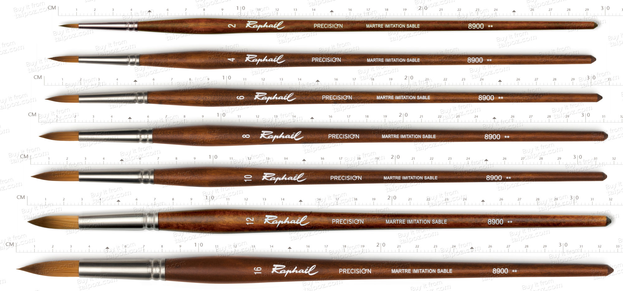 Cọ vẽ sơn dầu và acrylic Raphael Precision 8900 - Cọ tròn