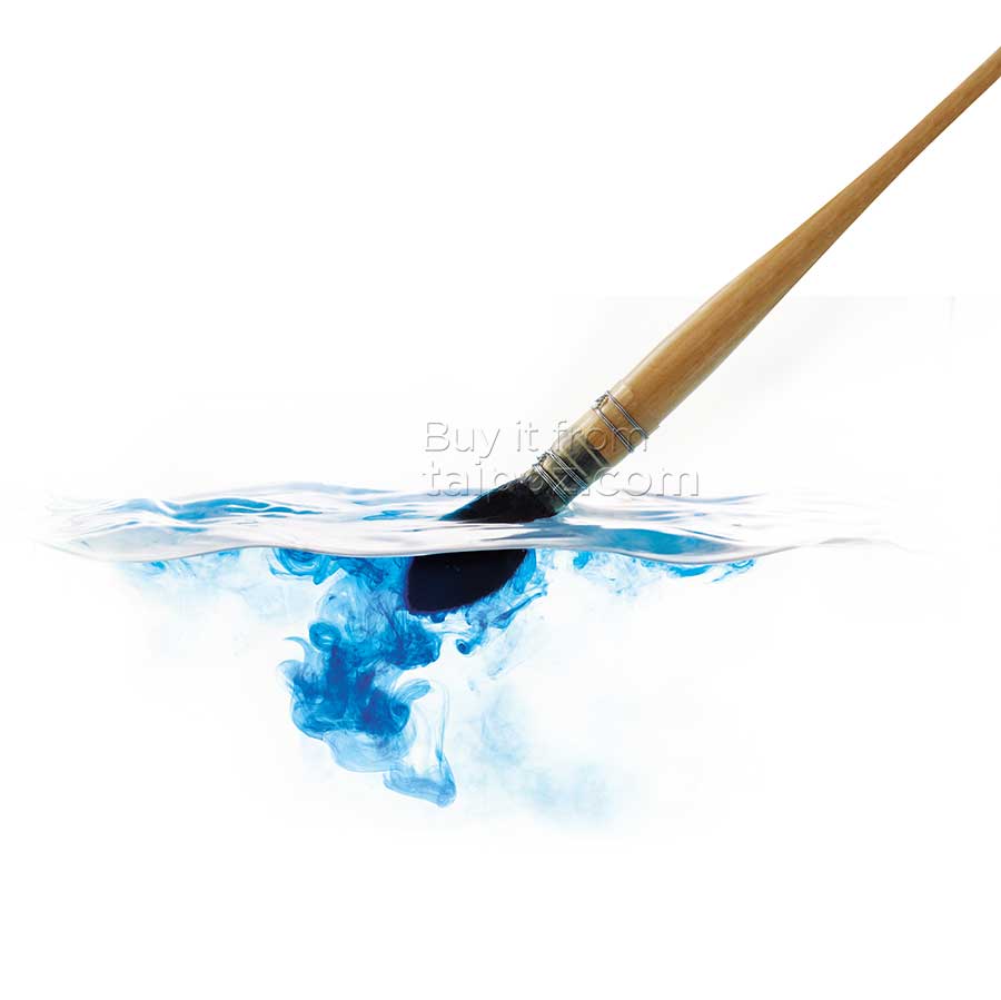 Cọ màu nước Raphael Softaqua 805 - cọ mốp