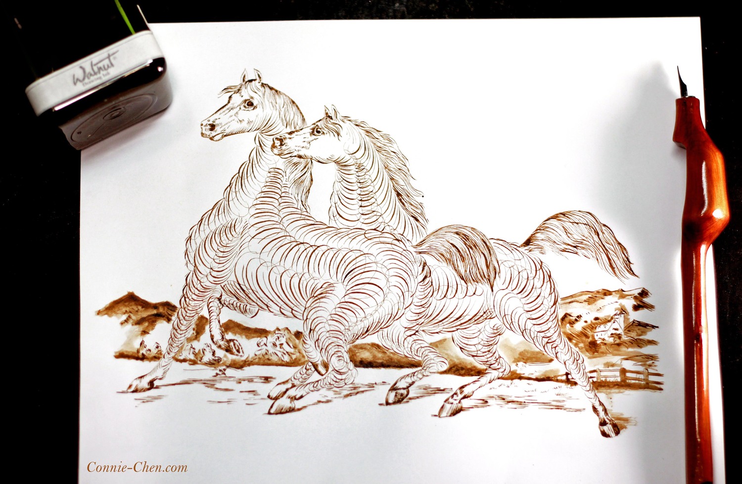 Mực walnut Tom Norton