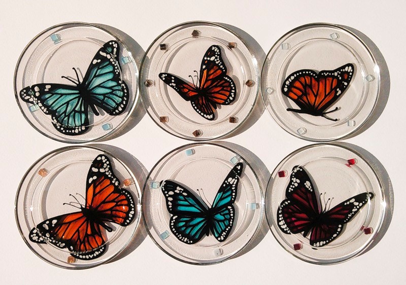 Màu chuyên vẽ kính Decola, loại trong suốt