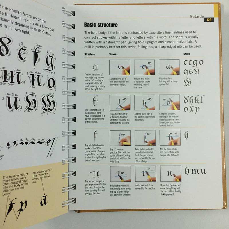 The Calligrapher's Bible: 100 Complete Alphabets and How to Draw Them