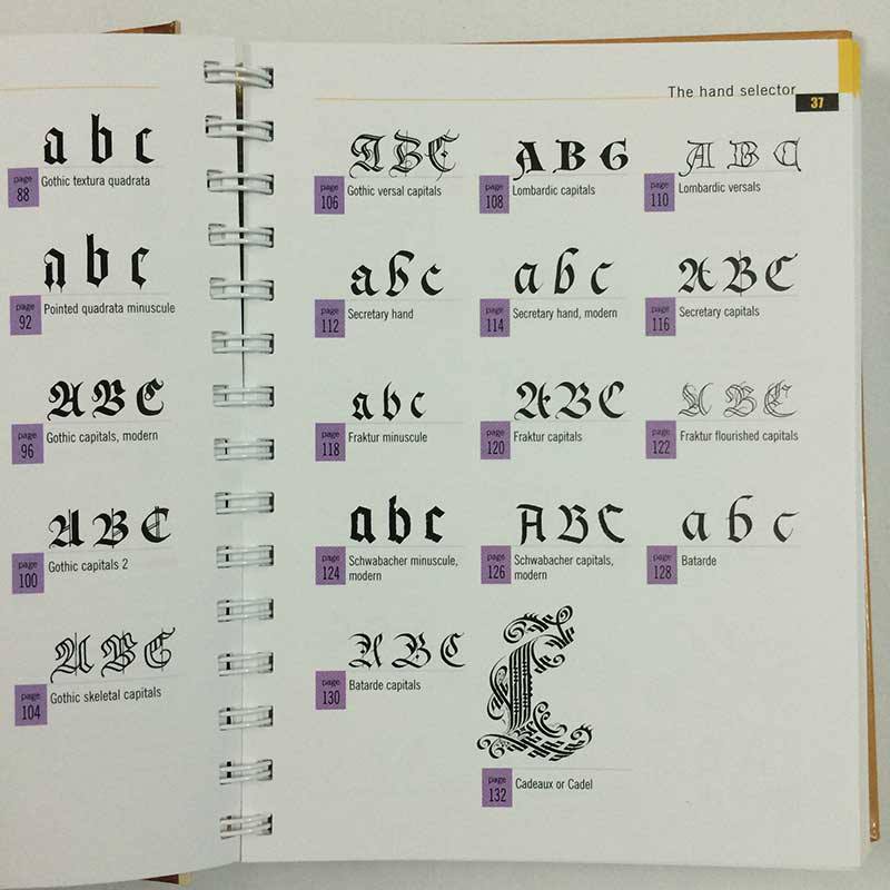 The Calligrapher's Bible: 100 Complete Alphabets and How to Draw Them