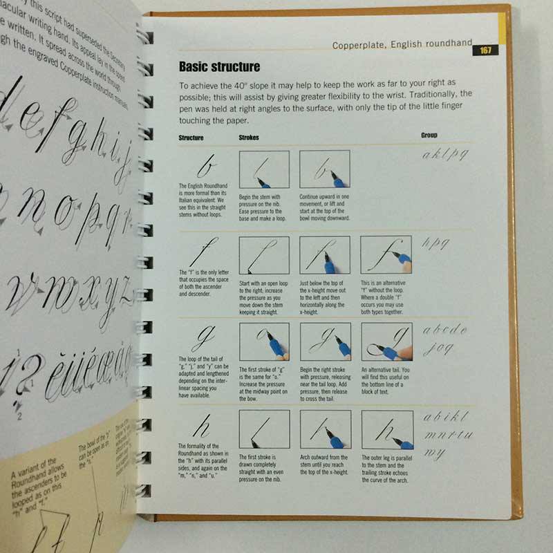 The Calligrapher's Bible: 100 Complete Alphabets and How to Draw Them