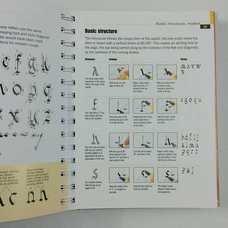 The Calligrapher's Bible: 100 Complete Alphabets and How to Draw Them