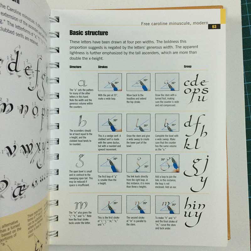 The Calligrapher's Bible: 100 Complete Alphabets and How to Draw Them