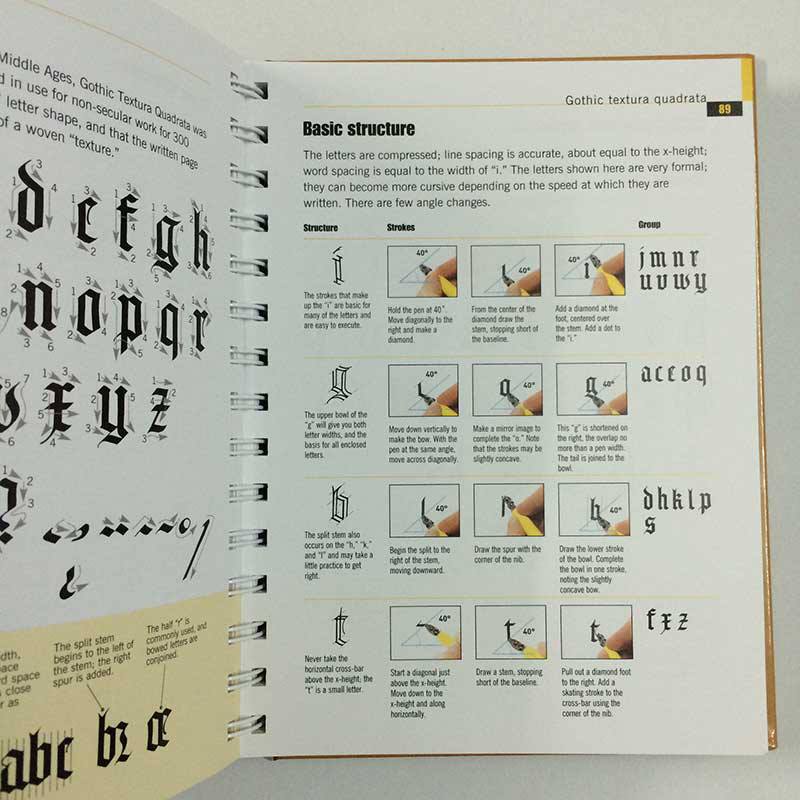 The Calligrapher's Bible: 100 Complete Alphabets and How to Draw Them