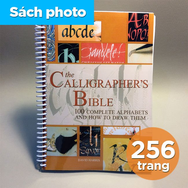 The Calligrapher's Bible: 100 Complete Alphabets and How to Draw Them