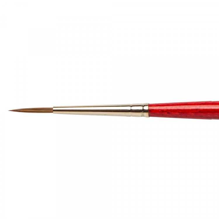 Cọ màu nước W&N Sceptre Gold II - Designer round series 202