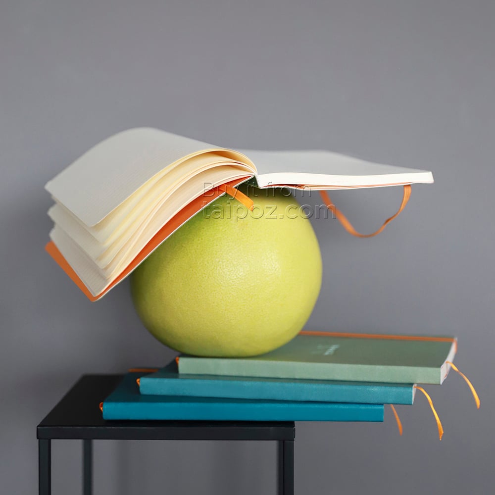 Sổ tay Rhodiarama, bìa mềm nhiều màu