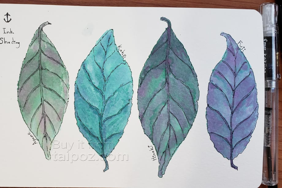 Mực bút máy nhị sắc Sailor Manyo Dual Shading